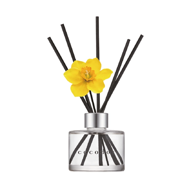 Vendita online Diffusore a bastoncini Daffodil - English Pearfree 120 ml